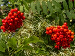 Fotowalk Pfarrwerfen - Bahnhof Werfen